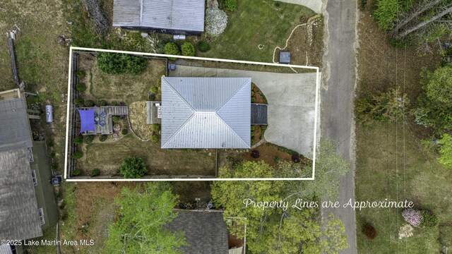 441 Cove Dr, Eclectic, AL 36024 - aerial view