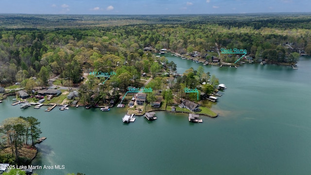 441 Cove Dr, Eclectic, AL 36024 - bird's eye view with a forest view and a water view