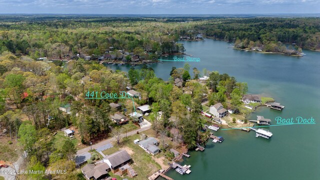 441 Cove Dr, Eclectic, AL 36024 - aerial view featuring a view of trees and a water view