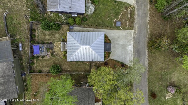 441 Cove Dr, Eclectic, AL 36024 - aerial view
