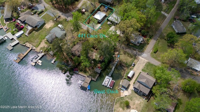 441 Cove Dr, Eclectic, AL 36024 - bird's eye view