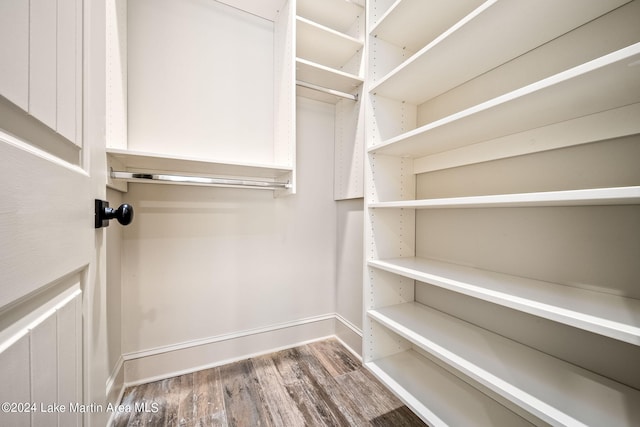 spacious closet featuring dark hardwood / wood-style flooring