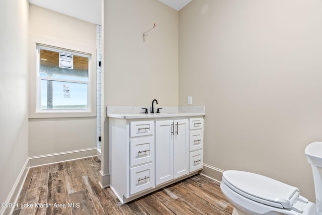 bathroom featuring vanity, toilet, and wood-type flooring