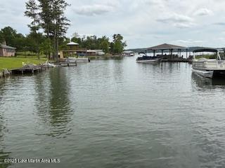 1967 Centerport Rd, Dadeville, AL 36853 - photo 7