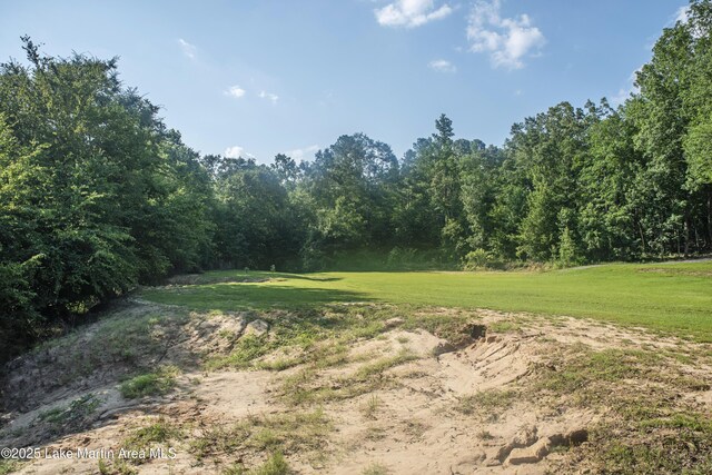 945 Pate Rd, Alexander City, AL 35010 - photo 56