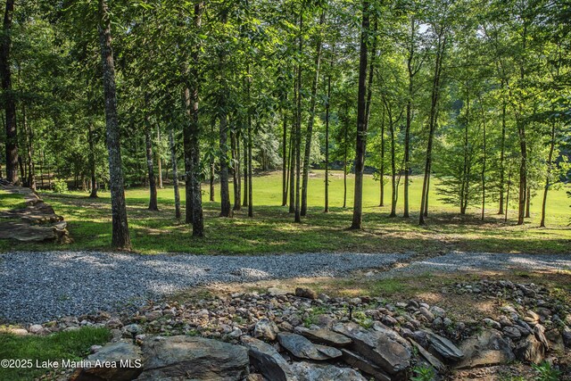 945 Pate Rd, Alexander City, AL 35010 - photo 65