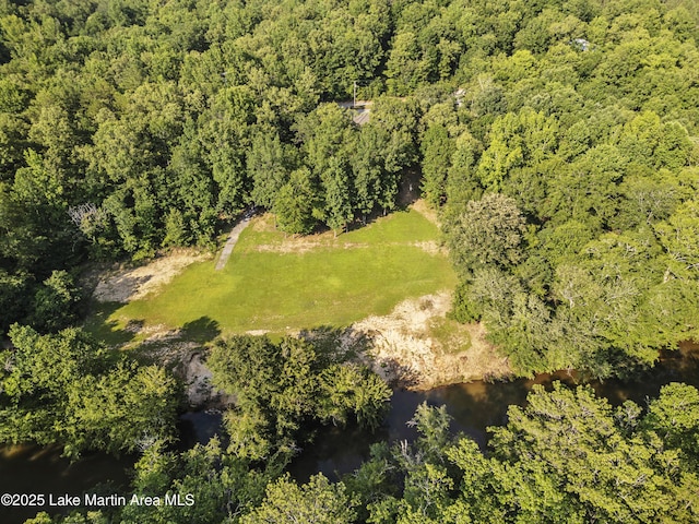 945 Pate Rd, Alexander City, AL 35010 - photo 6