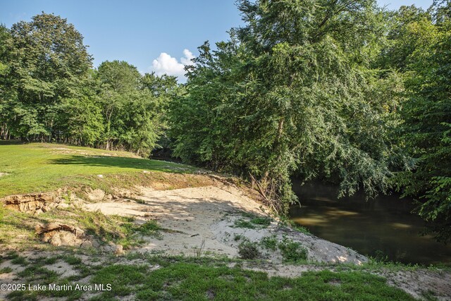 945 Pate Rd, Alexander City, AL 35010 - photo 60