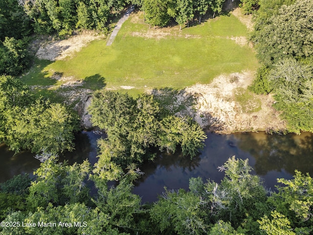 945 Pate Rd, Alexander City, AL 35010 - photo 7