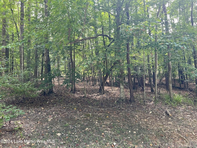 LOT3 Knollwood Dr, Dadeville AL, 36853 land for sale