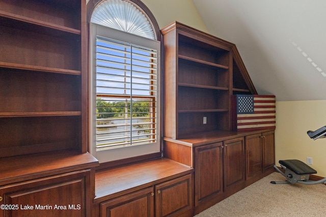 unfurnished office with carpet floors and vaulted ceiling