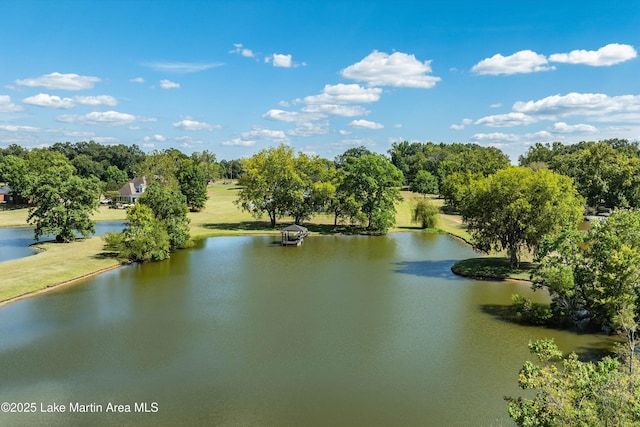 property view of water