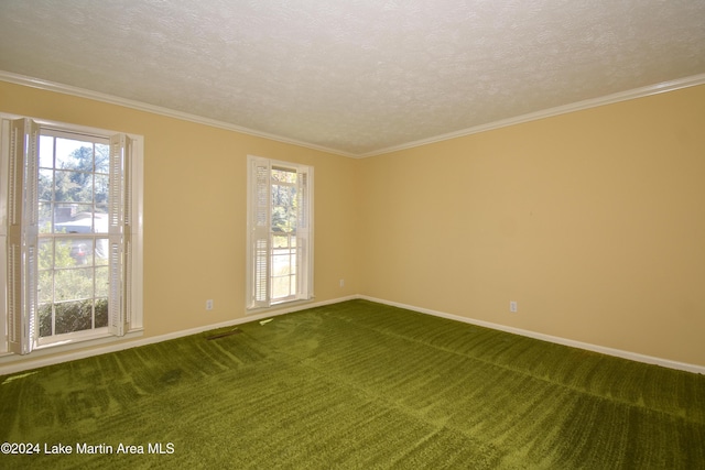 1337 Karen St, Alexander City, AL 35010 - photo 15