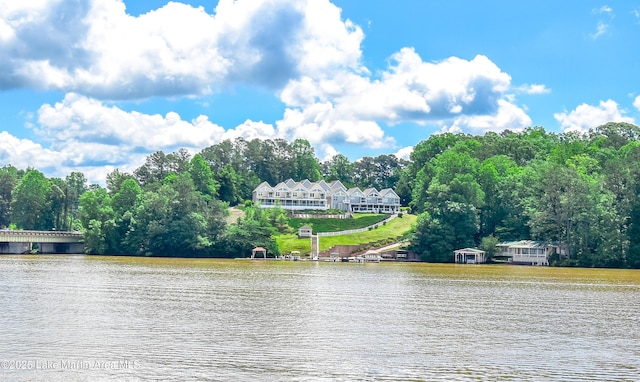 128 River Ridge Rd Unit B3, Alexander City, AL 35010 - water view