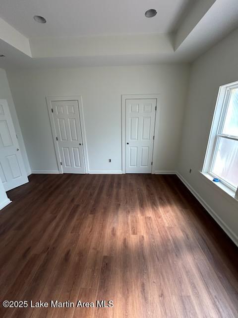 198 Mccain Rd, Eclectic, AL 36024 - unfurnished bedroom with a tray ceiling and dark wood-style floors