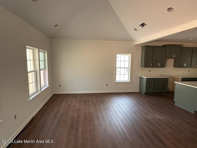 198 Mccain Rd, Eclectic, AL 36024 - kitchen featuring plenty of natural light, dark wood-style floors, and high vaulted ceiling