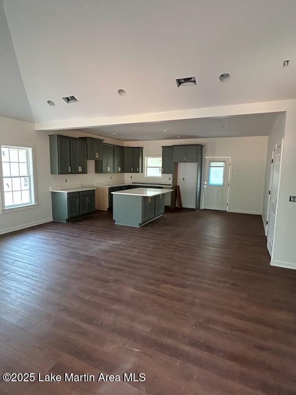198 Mccain Rd, Eclectic, AL 36024 - kitchen featuring healthy amount of natural light, a center island, dark wood-style floors, and vaulted ceiling