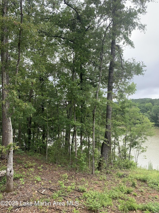 1452 Sturdivant Rd, Jacksons Gap, AL 36861