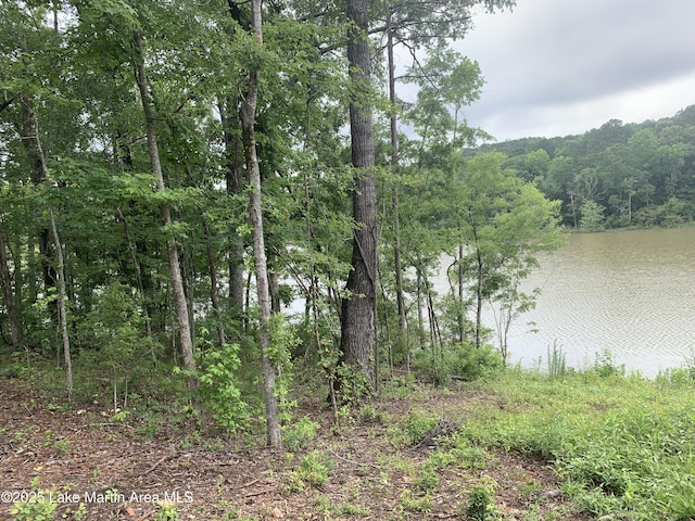 1452 Sturdivant Rd, Jacksons Gap, AL 36861