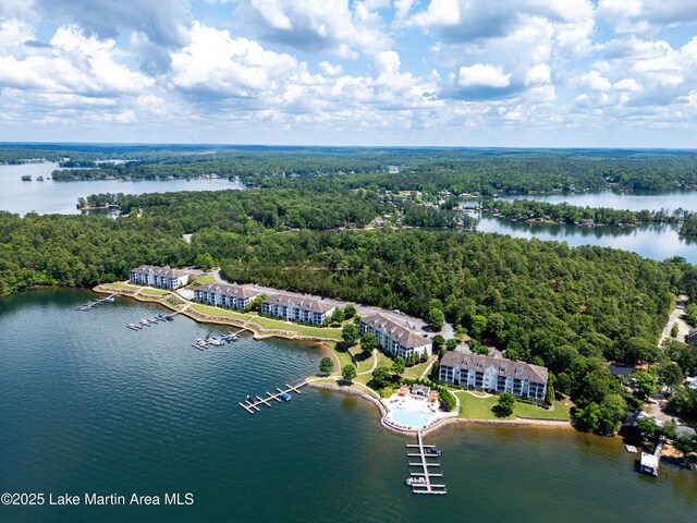 230 Crowne Pointe Rd Unit 104, Dadeville, AL 36853 - drone / aerial view of a forest and a large body of water