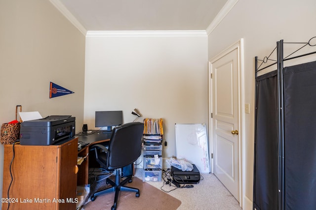 carpeted office with crown molding