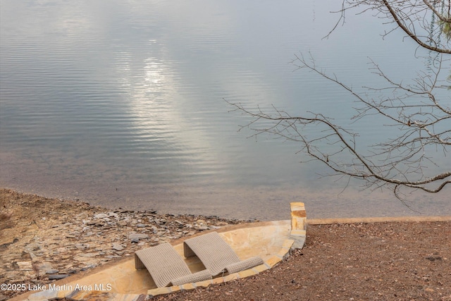 property view of water