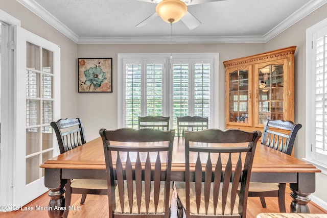 207 Mcdonald St, Dadeville, AL 36853 - dining space with wood finished floors, plenty of natural light, crown molding, and a ceiling fan