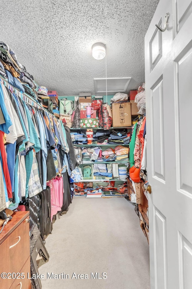 207 Mcdonald St, Dadeville, AL 36853 - view of walk in closet