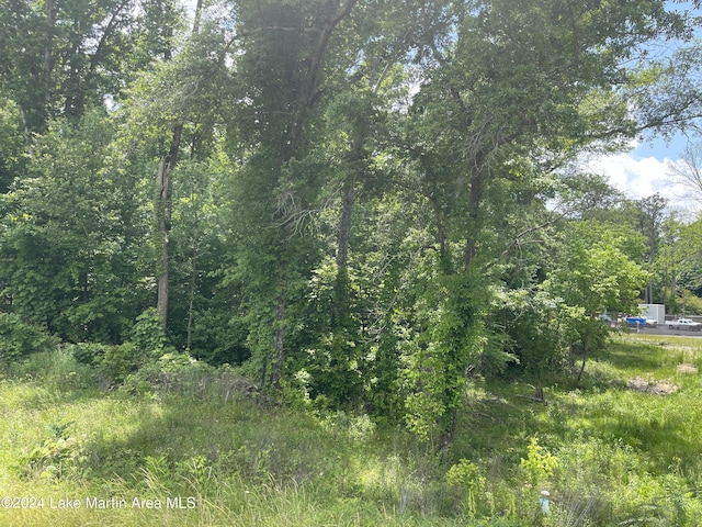 Address Not Disclosed, Alexander City AL, 35010 land for sale