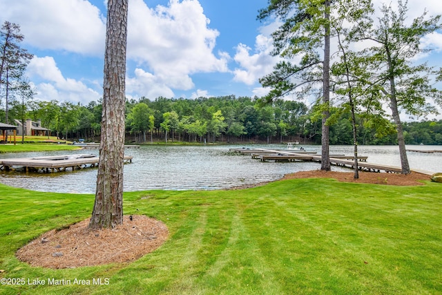321 Magnolia Way, Dadeville, AL 36853 - photo 18