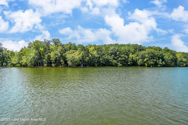 water view with a forest view