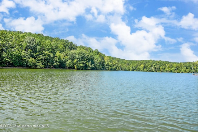 property view of water with a view of trees