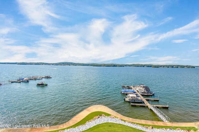 90 Crowne Pointe Rd, Dadeville, AL 36853 - photo 71