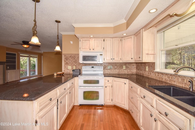 kitchen featuring white appliances, crown molding, sink, ceiling fan, and light hardwood / wood-style floors