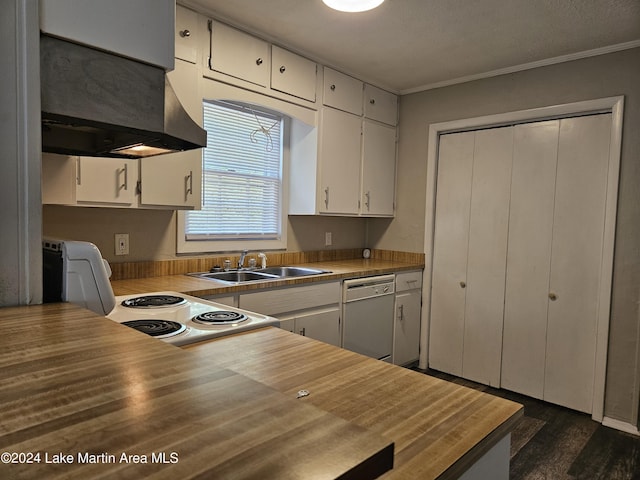 kitchen featuring dishwasher, exhaust hood, white cabinets, and sink