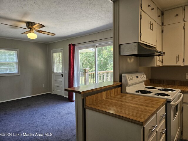 kitchen featuring dark carpet, electric stove, crown molding, ceiling fan, and white cabinetry