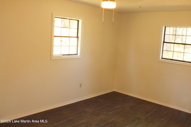 spare room with plenty of natural light and dark wood-type flooring