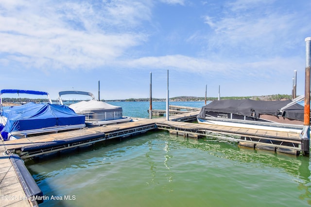 dock area with a water view