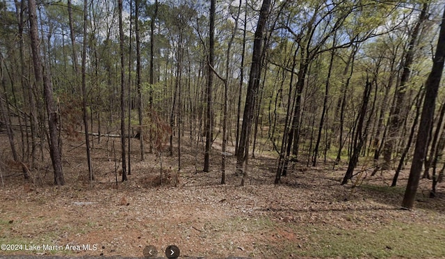 Listing photo 3 for 30 Tanglewood Ct, Dadeville AL 36853