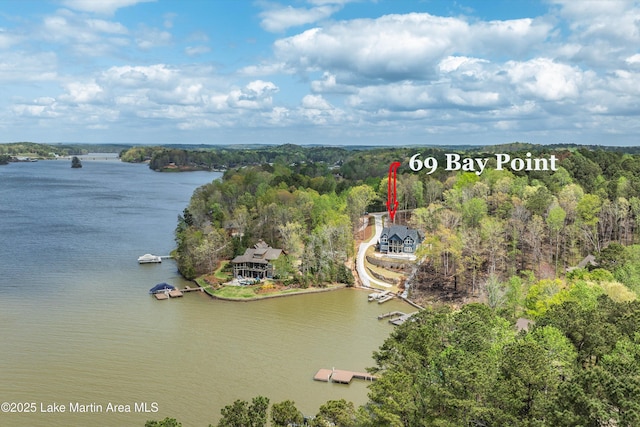 birds eye view of property featuring a forest view and a water view