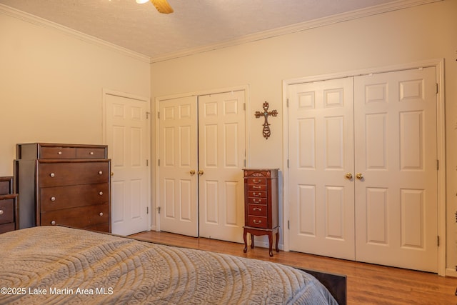 bedroom featuring a textured ceiling, two closets, light wood-type flooring, ceiling fan, and crown molding