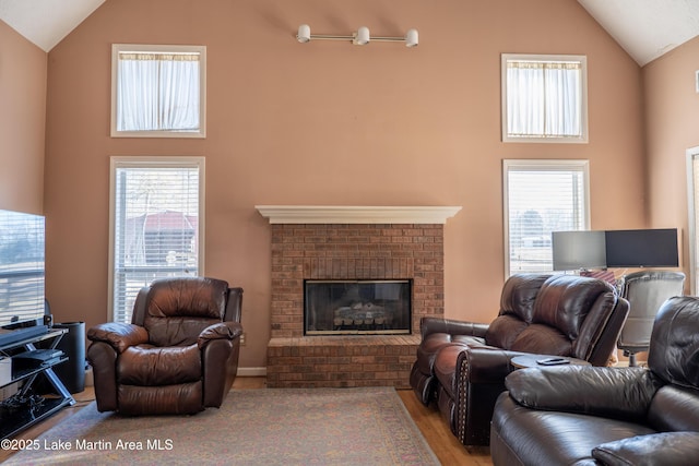 living room featuring hardwood / wood-style flooring, a wealth of natural light, and a fireplace