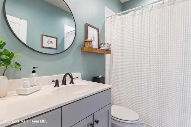 bathroom with toilet and vanity