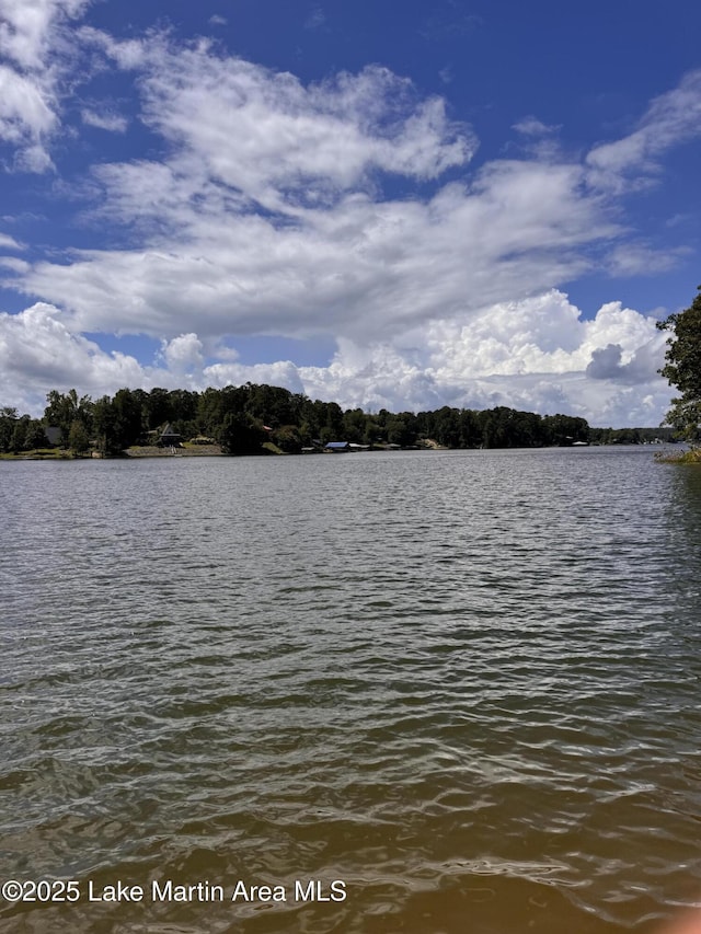 2601 Sturdivant Rd, Jacksons Gap, AL 36861 - photo 2