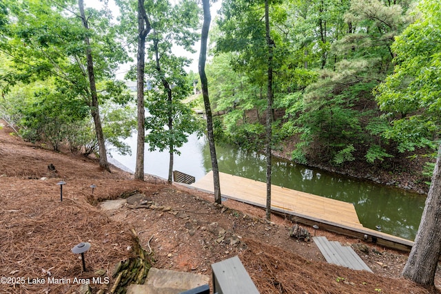 view of water feature with a dock