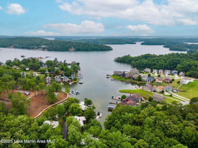 bird's eye view featuring a water view and a wooded view