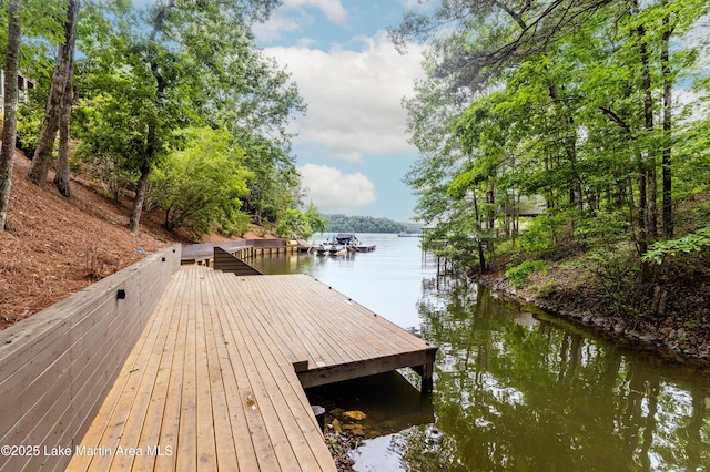 dock area featuring a water view