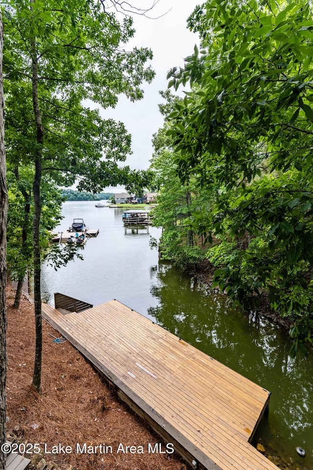 dock area with a water view