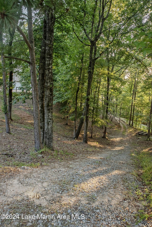 view of landscape