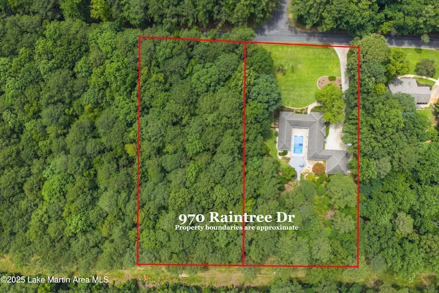 970 Raintree Dr, Alexander City, AL 35010 - aerial view of property's location with property boundaries highlighted